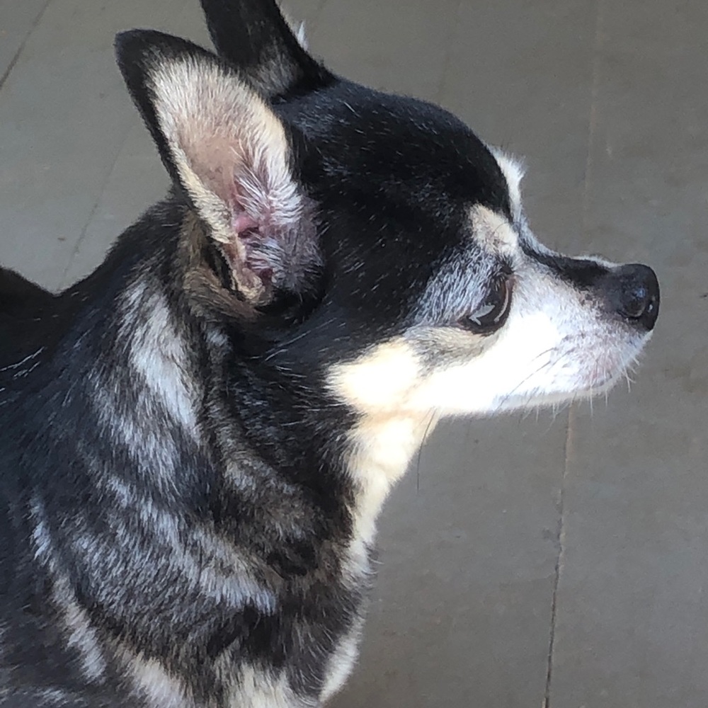 Meet your Posher, Leslie